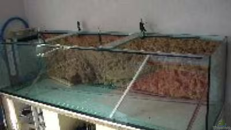 Einbau der Rückwand ins Becken von Christof Brixner (8)