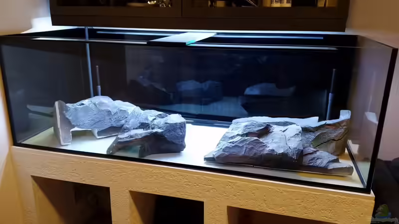 Einbau der Rückwand von Aquadecor von baumringzaehler (4)