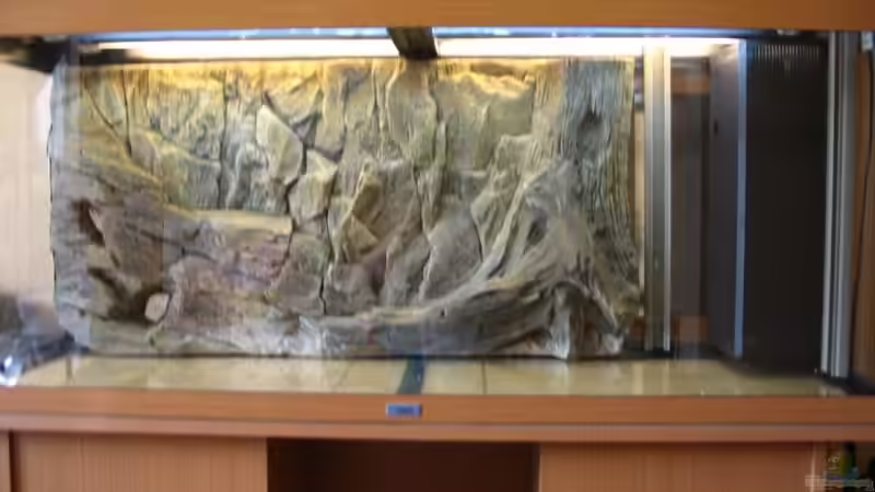 Einbau der Rückwand von Kleener Stinker (3)