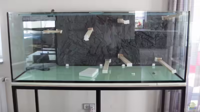 Einbau der Rückwand von Manfred B. (9)