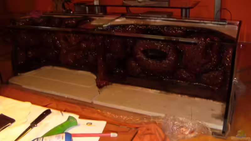 Einbau ins Becken von Frank Hopp (23)