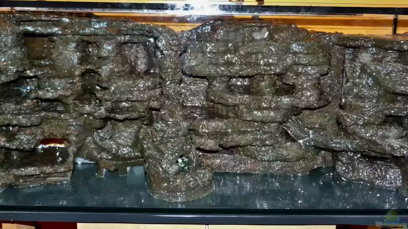 Einbau ins Becken von René L. (12)