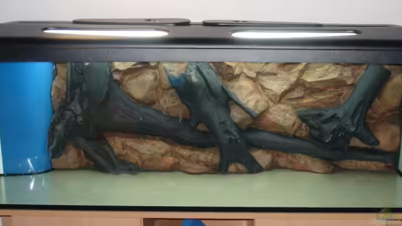 Einbau Rückwand von Sandro Möstel (2)