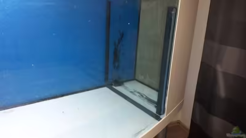 Einbau Technik Kammer von Christian Höse (3)