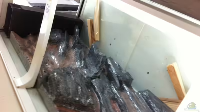 Einbau von bbussmann (36)