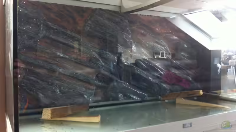 Einbau von bbussmann (38)