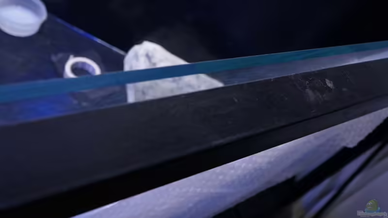 einbau von tattooindi (12)