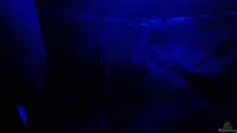 einblick  bei Nacht von Lars Ascher (16)