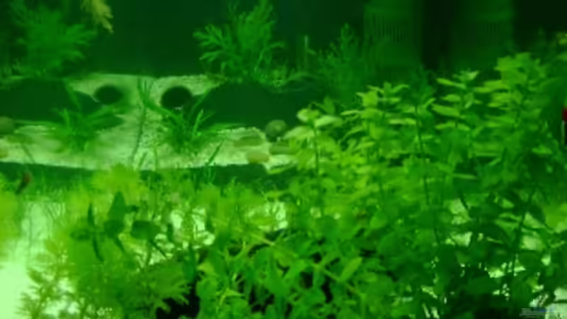 Einblick an der Frontseite von Karin Wolff (3)