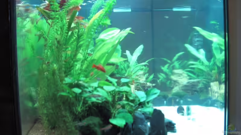 Einblick linke Seite von H.G Wells (6)