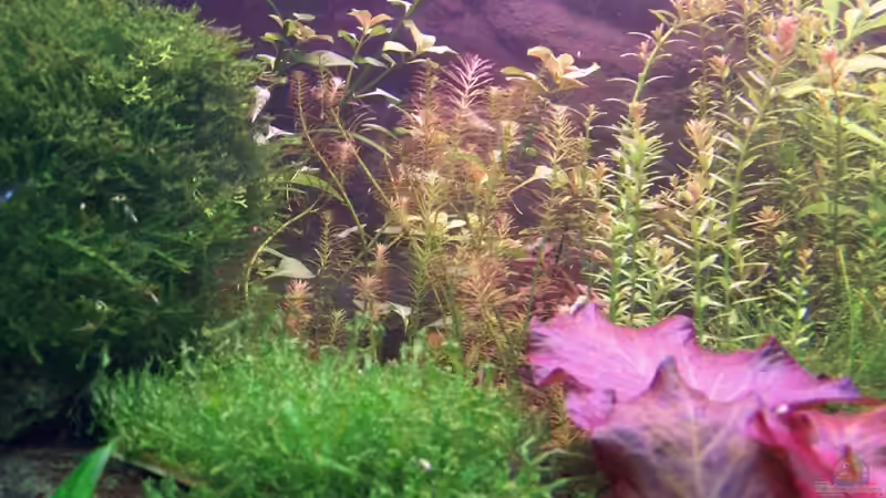 Einblick Mitte von Michael Hellberg (4)