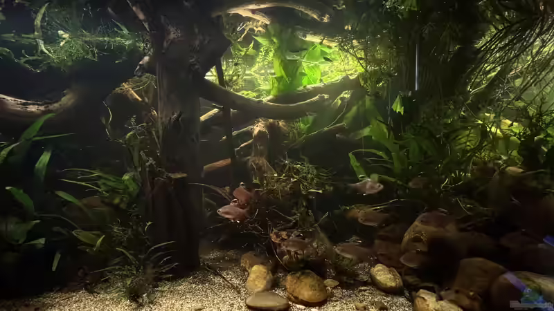 Einblick von cws (10)