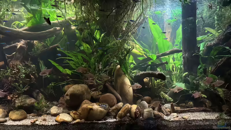 Einblick von cws (12)