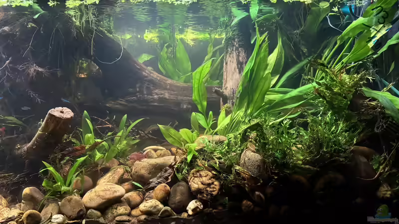 Einblick von cws (9)