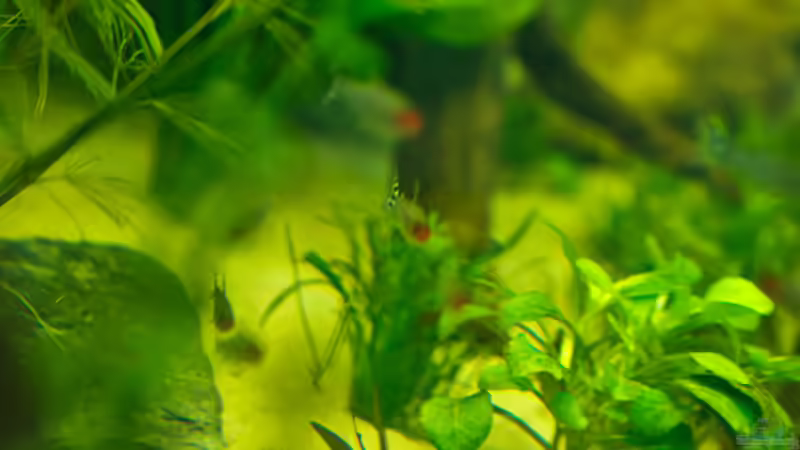 Einblick von der Seite von Nico Frische (2)