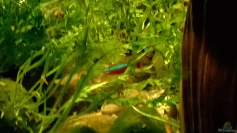 einblick von Lars Ascher (24)