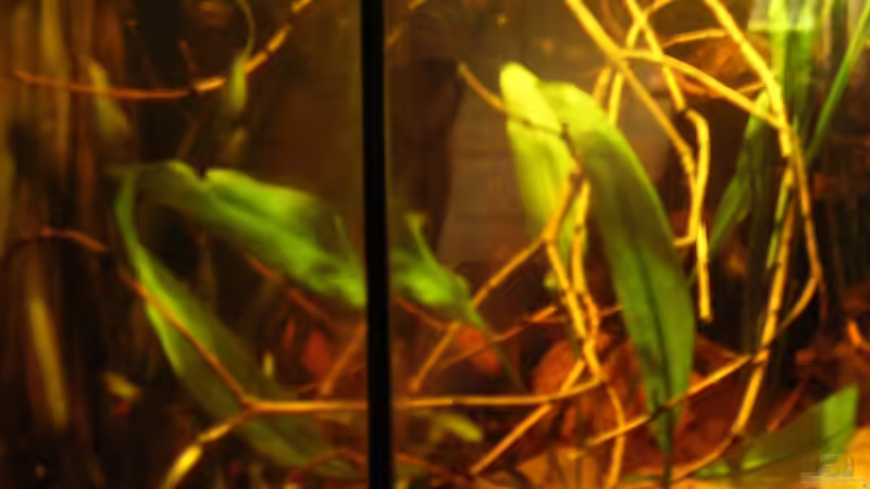 Einblick von links_19.04.2014 von Südamerikafreak BK (5)