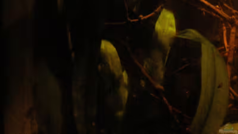 Einblick von links_23.05.2014 von Südamerikafreak BK (3)