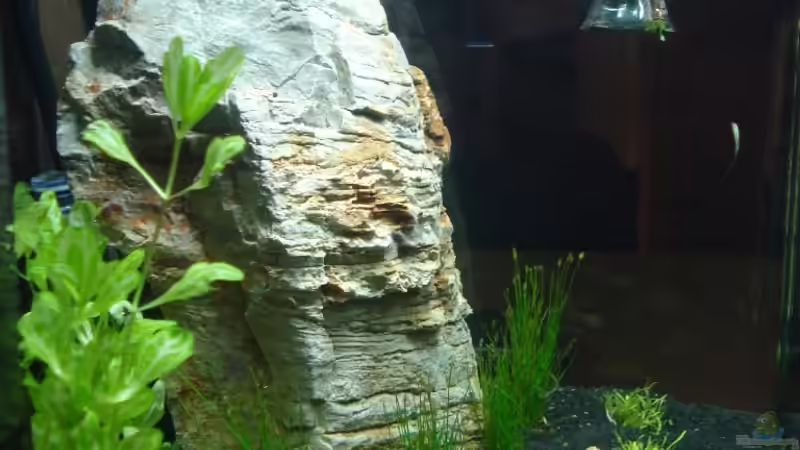 Einblick von links ins Nano Cube  von David Weidenbacher (6)