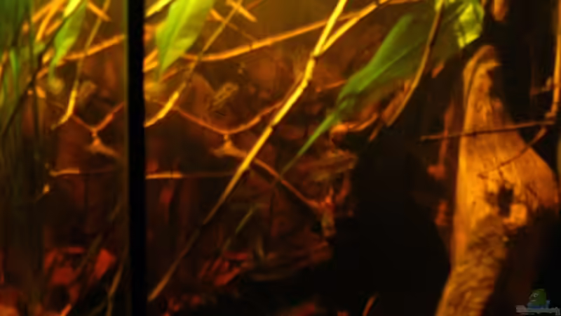 Einblick von rechts_1_19.04.2014 von Südamerikafreak BK (6)