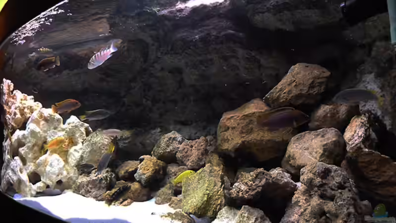 Einblick von Rechts von African Lake (3)