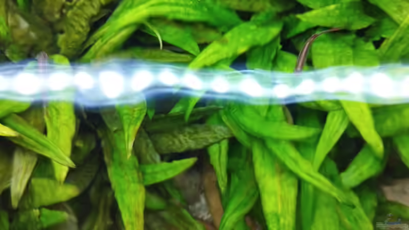 Einblicke von oben. von Thomas Kreuter (13)