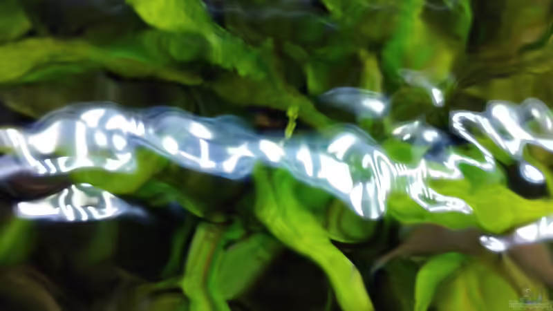 Einblicke von oben. von Thomas Kreuter (14)