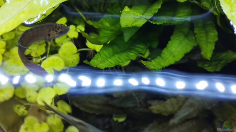 Einblicke von oben. von Thomas Kreuter (16)