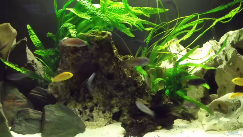 Einblicke von stonis-home (2)