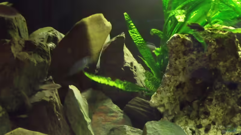 Einblicke von stonis-home (3)