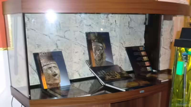 Einbringen der Back to nature Rückwände - Lexika sind für vieles gut :-) von Sirko Fricke (7)