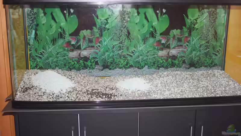 Einbringen des Grundes von wolle04 (9)