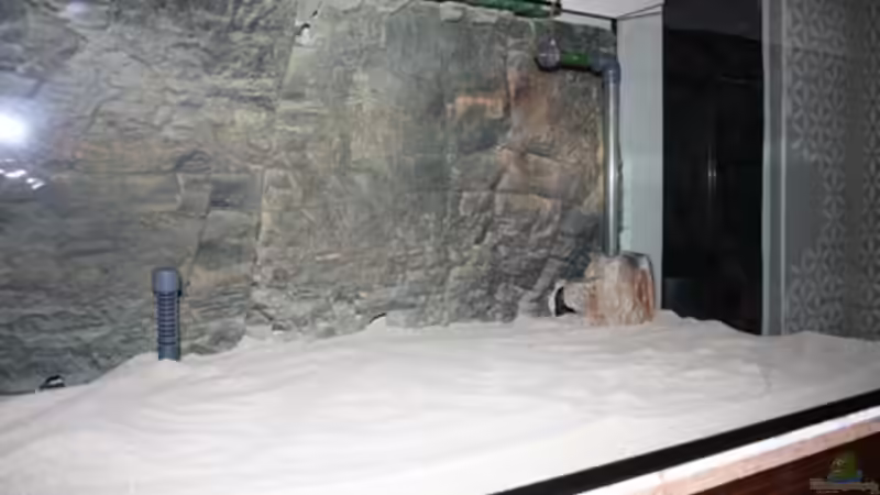 Einbringen des Sand von Booth (11)