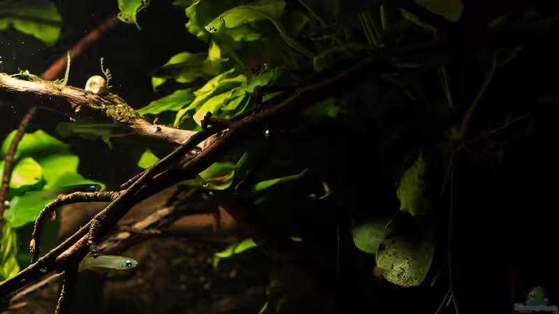 Eindruck aus der Seitenperspektive .. von AjakAndi (9)