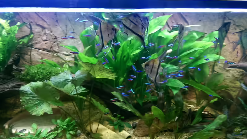 Eindrücke.. von Ottche (84)