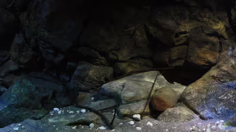 Eindrücke der Dekoration von Florian Bandhauer (41)