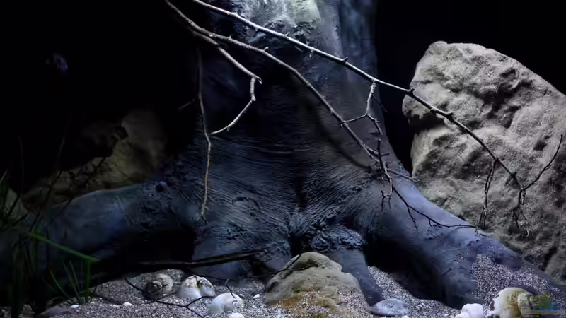 Eindrücke der Dekoration von Florian Bandhauer (56)