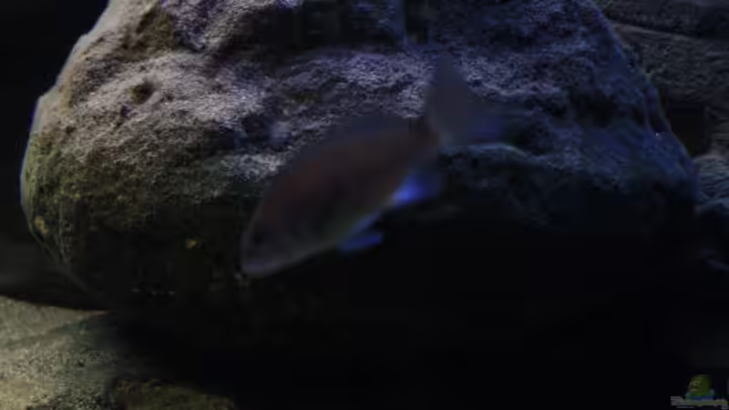 Eindrücke der großen Steine!!! von Florian Bandhauer (20)