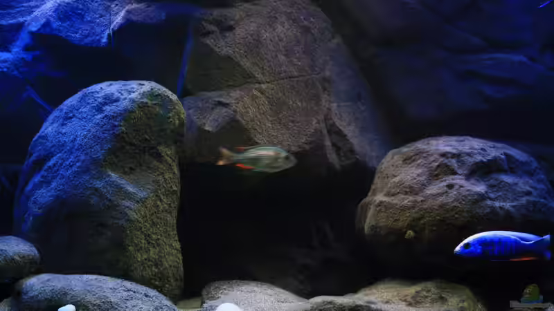 Eindrücke der neu gestalteten Dekoration von Florian Bandhauer (31)