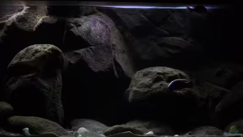 Eindrücke des Beckens in der Tropentag Simulation mit Wolken Phase von Florian Bandhauer (8)