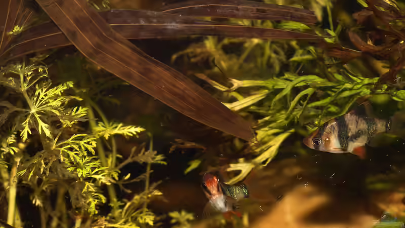 Eindrücke im Becken von Florian Bandhauer (43)