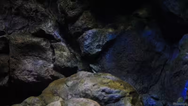 Eindrücke in einer Hochkant Aufnahme von Florian Bandhauer (31)