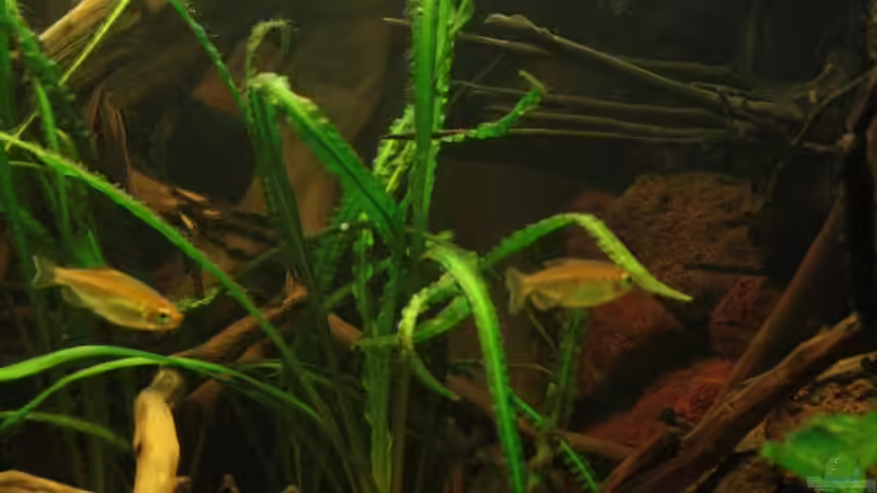 Eindrücke in einer Hochkant Perspektive von Bämbel (28)