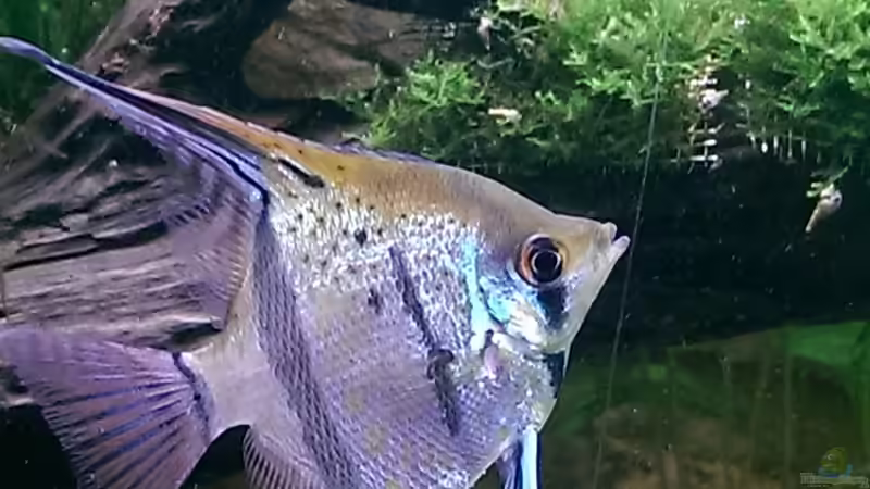 Eindrücke von Ottche (223)