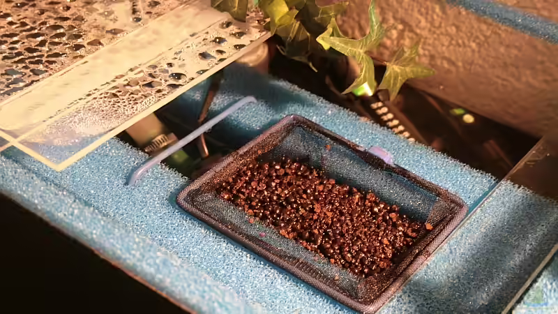 Eine Abdeckscheibe weg mit Einhängenetz für Zusatzpräparate. von Grobi (20)