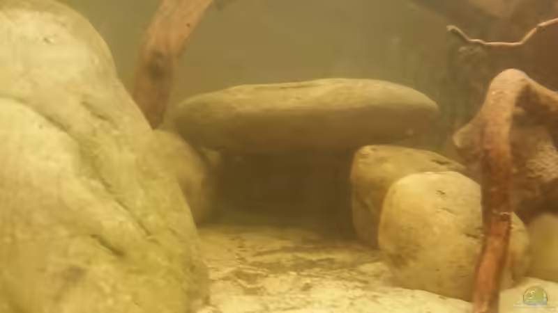 Eine bessere Ansicht. Wer wird da wohl einziehen? von southheart (14)