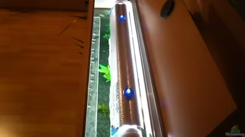 Eine der beiden Leuchtstoffröhren mit Reflektor von Dennis und Katha (13)