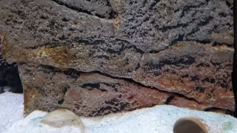 Eine der Bruthöhlen. von NiRo (10)