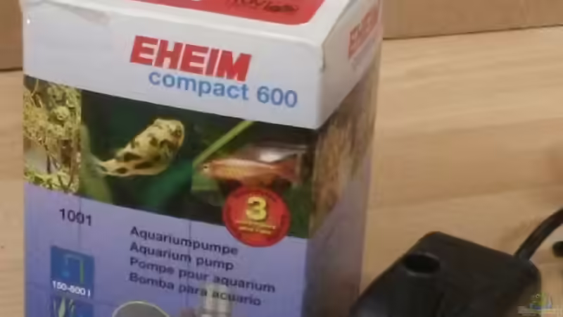 Eine EHEIM compact wird für die Wasserumwälzung genutzt von Beulenkopftyp (34)