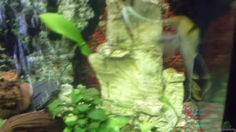 eine große Höhle von valla88 (8)